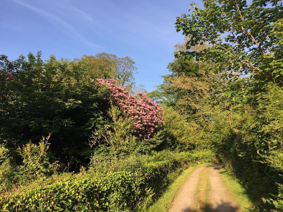 Tranquil Getaway Near Brecon Beacons Apartman Llandovery Kültér fotó